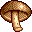 Champignon