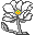 Fleur des Glaces