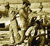 Misérable armée palladionaute