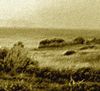 Baie de Karénie